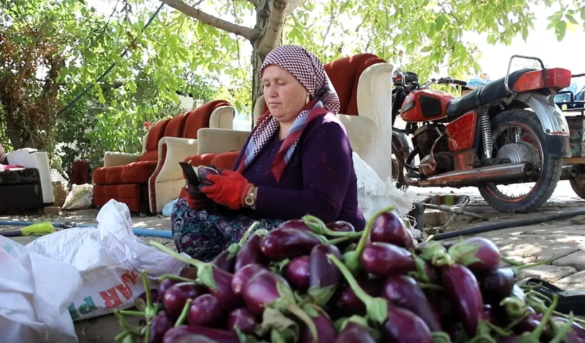Gaziantep’te Kış Hazırlıkları Devam Ediyor