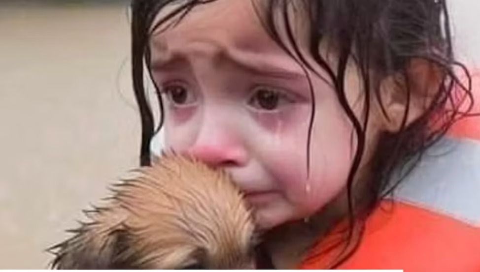 İnterneti dolduran yeni tehlike: “AI slop” nedir?