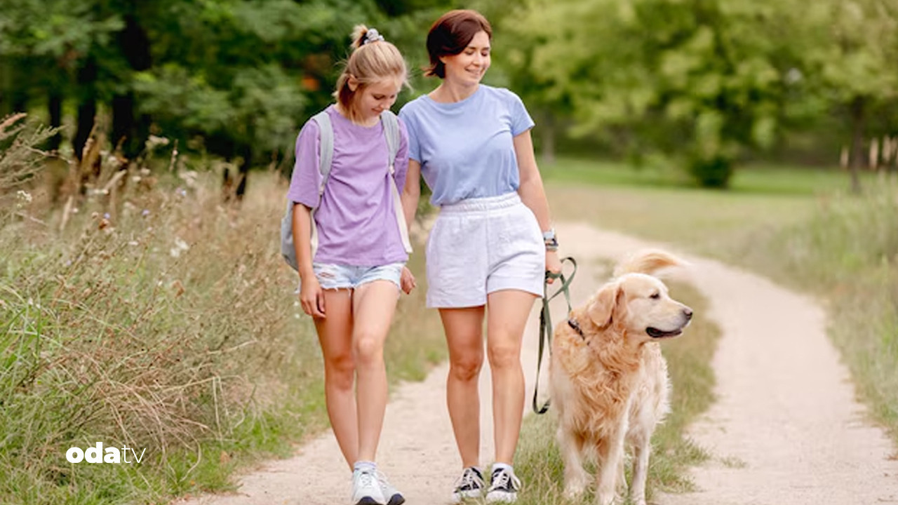 İtalya’da yeni uygulama: Köpek vergisi