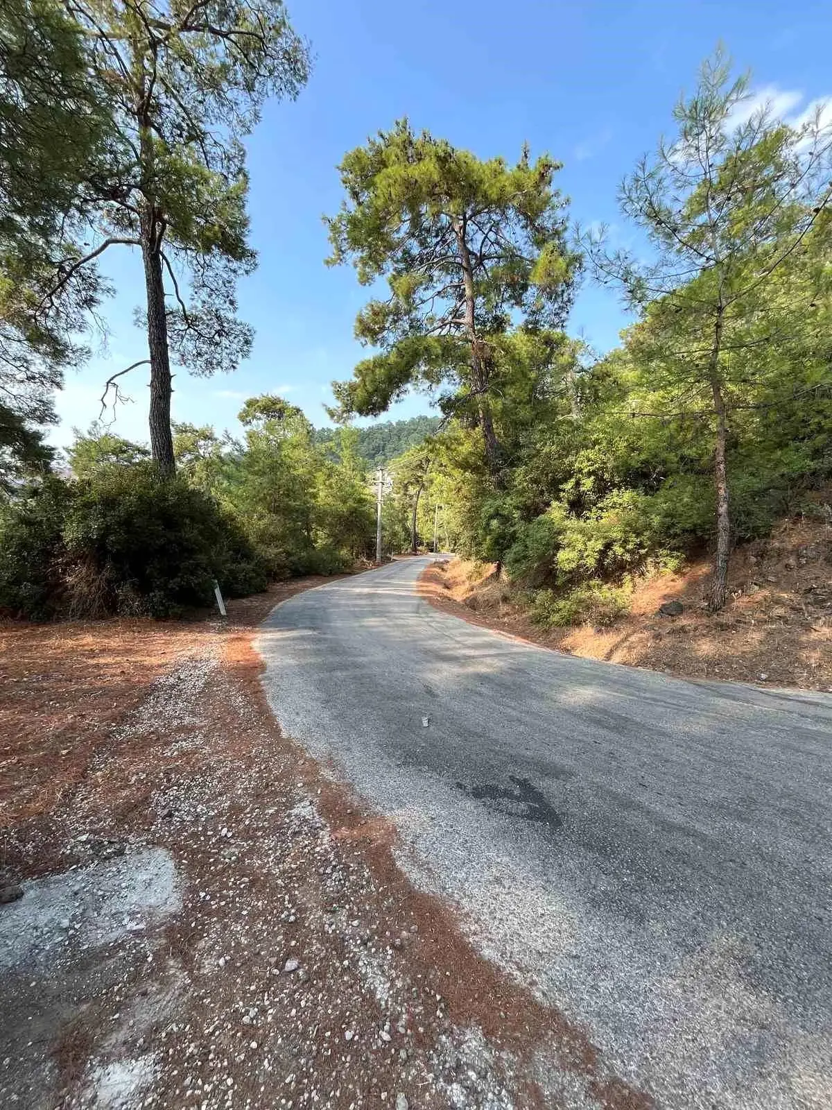 Marmaris’te Yangın Önleme Çalışmaları Yaygınlaşırken marmariste yangin onleme calismalari yayginlasirken qC57RBBY