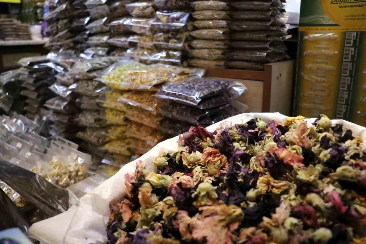 sakaryada soguk alginligina karsi aktarlara yogun ilgi Bhcxp52d