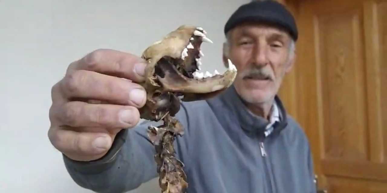 Artvin’de bulundu hemen incelemeye alındı! “İlk kez böyle bir şey gördüm”