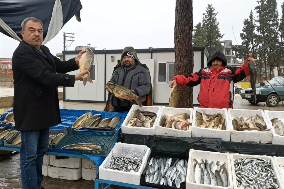 Fırat Nehri Balıklarına Yoğun İlgi