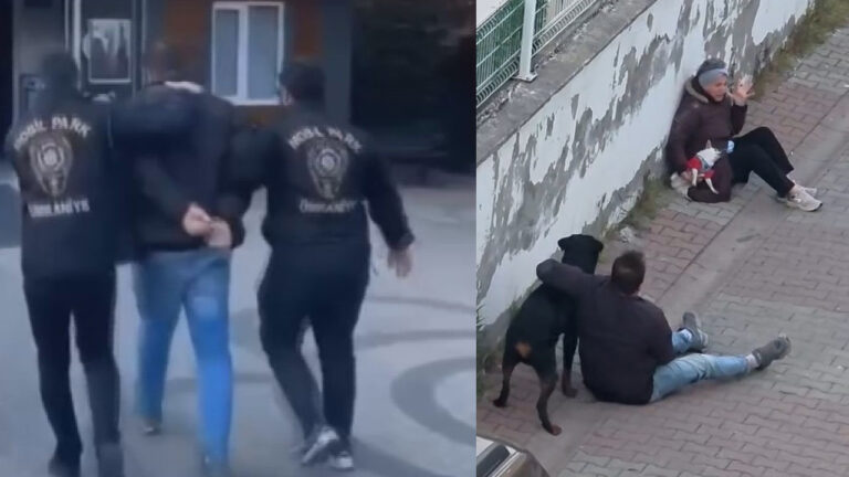 umraniyede-rottweiler-faciasi-talihsiz-kadin-cigliklari-yurekleri-sizlatti-nIxm3biv