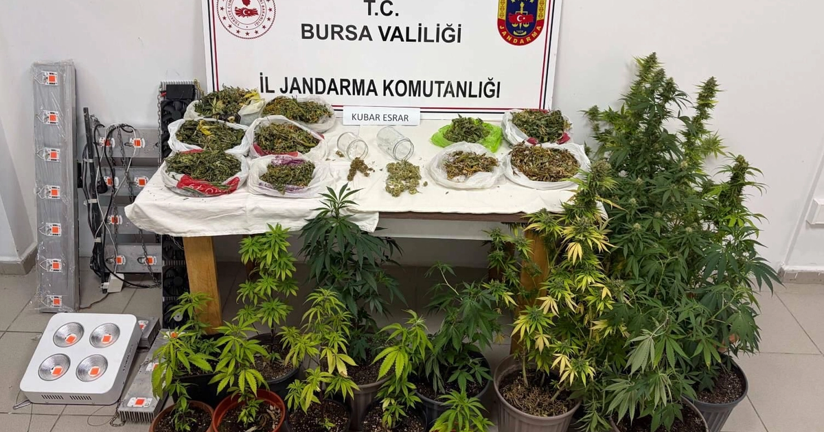 Bursa inegolde kenevir ve yuklu miktarda esrar ele gecirildi a1IIMRe8